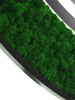 Зеркало Континент Forest 1000 с подсветкой с бесконтактным выключателем арт-ЗЛП301 — фото 6, Зеркала в ванную комнату