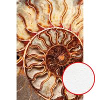 Фреска Ortograf Misto 33288 Фактура бархат FX Флизелин (1,8*2,7) Коричневый/Бежевый, Абстракция арт-33288 (бархат FX) — фото 1, Фрески