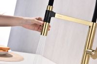 Смеситель для кухни Paulmark Leader Светлое брашированное золото арт-Le214101-SBG — фото 12, Смесители для кухни