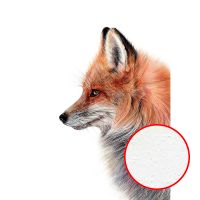 Фреска Ortograf Животные 30948 Фактура бархат FX Флизелин (1,9*2,7) Серый/Оранжевый, Животные арт-30948 (бархат FX) — фото 1, Фрески