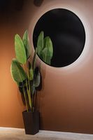 Товар: Зеркало Silver Mirrors Монако Black 100 с подсветкой с бесконтактным выключателем арт-LED-00002769 - фото 12 Зеркало Silver Mirrors Монако Black 100 с подсветкой с бесконтактным выключателем арт-LED-00002769 — фото 12, Зеркала в ванную комнату