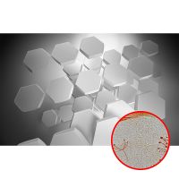 Фреска Ortograf 3D 33414 Фактура бархат золото FX-G Флизелин (4,3*2,7) Серый, Абстракция арт-33414 (бархат золото FX-G) — фото 1, Фрески