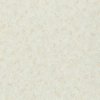 Товар: Обои RASCH Factory Style Винил на флизелине (1,06*10,05) Серый/Золото, Штукатурка арт-947632 - фото 1 Обои RASCH Factory Style Винил на флизелине (1,06*10,05) Серый/Золото, Штукатурка арт-947632 — фото 1, Обои для стен