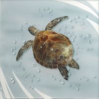 Керамический декор Kerama Marazzi Чудо-озеро 2 VT\A452\5009 20х20 см арт-VT\A452\5009 — фото 1, Керамическая плитка