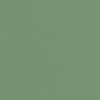 Товар: Обои Caselio Flower Power Винил на флизелине (0,53*10,05) Зеленый, Однотонные арт-64527170 - фото 1 Обои Caselio Flower Power Винил на флизелине (0,53*10,05) Зеленый, Однотонные арт-64527170 — фото 1, Обои для стен