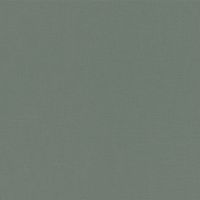 Обои RASCH Salisbury Флизелин (0,53*10,05) Серый, Однотонные арт-552751 — фото 1, Обои для стен