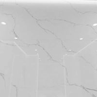 Товар: Керамогранит Royce Tile Unico White Polished 60х120 см арт-R_PR2003 - фото 5 Керамогранит Royce Tile Unico White Polished 60х120 см арт-R_PR2003 — фото 5, Керамогранит