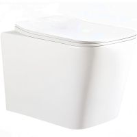 Товар: Унитаз Ceruttispa Maiella Aria PP подвесной с сиденьем Микролифт арт-CT10479 - фото 1 Унитаз Ceruttispa Maiella Aria PP подвесной с сиденьем Микролифт арт-CT10479 — фото 1, Подвесные унитазы