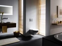 Товар: Клавиша смыва Geberit Omega 20 Белая арт-115.085.KJ.1 - фото 4 Клавиша смыва Geberit Omega 20 Белая арт-115.085.KJ.1 — фото 4, Кнопки смыва