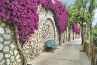 Фреска Ortograf Городской пейзаж 4301 Фактура флок FLK Флизелин (3*2) Бежевый/Розовый, Город/Цветы арт-4301 (флок FLK) — фото 2, Фрески