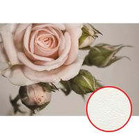 Фреска Ortograf Цветы 3486 Фактура флок FLK Флизелин (3*2) Розовый/Серый/Зеленый, Цветы арт-3486 (флок FLK) — фото 1, Фрески