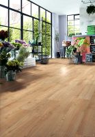 Товар: Ламинат Kronotex Robusto Каштан Солсбери темный 1375x188x12 мм арт-D80892 - фото 5 Ламинат Kronotex Robusto Каштан Солсбери темный 1375x188x12 мм арт-D80892 — фото 5, Ламинат