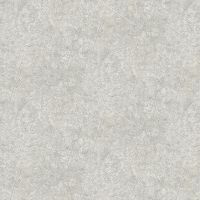 Обои Andrea Grifoni Palazzo Peterhof Флизелин (1,06*10,05) Серый, Штукатурка арт-7003-1 — фото 1, Обои для стен