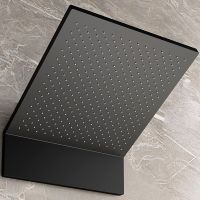 Верхний душ Vincea Futura Черный матовый арт-VSHD-2F11MB — фото 1, Верхние души