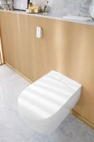 Унитаз биде Villeroy&Boch ViClean-L подвесной с сиденьем Микролифт арт-V0E100R1 — фото 10, Подвесные унитазы