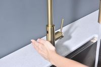 Смеситель для кухни Paulmark Senso Светлое брашированное золото арт-Se215180-SBG — фото 5, Смесители для кухни