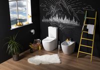 Чаша унитаза-компакта Aquanet Cetus C1 Rimless 00 без бачка, с сиденьем Микролифт арт-203342 — фото 3, Напольные унитазы