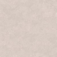 Обои LOYMINA Golden Library Винил на флизелине (1*10,05) Серый/Бежевый, Штукатурка арт-TDG7 002/1 — фото 1, Обои для стен