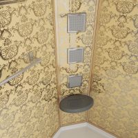 Душевая кабина Niagara Luxe 120x80 NG- с гидромассажем арт-7711GR — фото 4, Душевые кабины