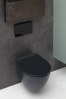 Товар: Унитаз Allen Brau Fantasy подвесной Черный матовый без сиденья арт-4.11004.31 - фото 3 Унитаз Allen Brau Fantasy подвесной Черный матовый без сиденья арт-4.11004.31 — фото 3, Подвесные унитазы