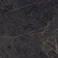 Керамогранит Ariana Epoque Black Lap 60x60 см арт-PF60004311 — фото 1, Керамогранит