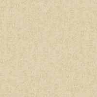 Обои Bernardo Bartalucci Renzo Винил на флизелине (1,06*10,05) Желтый, Штукатурка арт-84170-6 — фото 1, Обои для стен