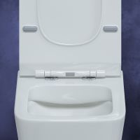 Товар: Унитаз Berges Floe Rimless подвесной с сиденьем Микролифт арт-082121 - фото 4 Унитаз Berges Floe Rimless подвесной с сиденьем Микролифт арт-082121 — фото 4, Подвесные унитазы