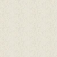 Обои Bruno Zoff Silver Фольга на флизелине (1,06*10,05) Белый, Штукатурка арт-60114-2 — фото 2, Обои для стен