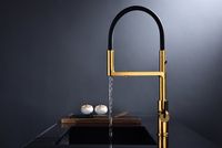 Смеситель для кухни Paulmark Tornado Брашированное золото арт-To213402-BG — фото 4, Смесители для кухни