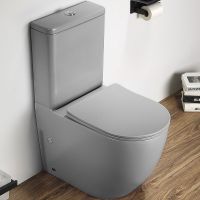 Унитаз компакт CeramaLux Светло-серый матовый с бачком и сиденьем Микролифт арт-2166XMH — фото 1, Напольные унитазы