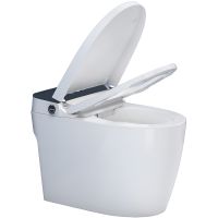 Товар: Унитаз биде SantiLine приставной с сиденьем Микролифт арт-SL-5034 - фото 6 Унитаз биде SantiLine приставной с сиденьем Микролифт арт-SL-5034 — фото 6, Умные унитазы