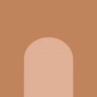 Керамогранит Fioranese Italian Landscape Firenze C 20,5х20,5 см арт-ILFI20C — фото 1, Керамогранит