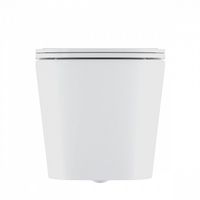 Унитаз Iddis Bild подвесной с сиденьем Микролифт арт-BILRDSEi25 — фото 3, Подвесные унитазы