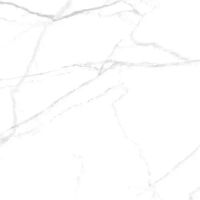 Керамогранит Belleza RS 159 Carving 60х60 см арт-СК000043680 — фото 1, Керамогранит