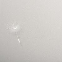 Товар: Обои Andrea Rossi Gavi Винил на флизелине (1,06*10) Бежевый/Белый, Листья/Цветы арт-54368-2 - фото 2 Обои Andrea Rossi Gavi Винил на флизелине (1,06*10) Бежевый/Белый, Листья/Цветы арт-54368-2 — фото 2, Обои для стен