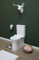 Чаша унитаза-компакта Aquanet Roll-C без бачка, с сиденьем Микролифт арт-210764 — фото 5, Напольные унитазы