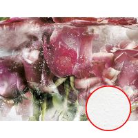 Фреска Ortograf Flower Dreams 31664 Фактура бархат FX Флизелин (3,6*2,7) Розовый/Зеленый, Цветы арт-31664 (бархат FX) — фото 1, Фрески