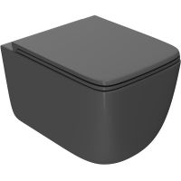 Унитаз Point Меркурий подвесной Графит матовый с сиденьем Микролифт арт-PN41831GM — фото 1, Подвесные унитазы