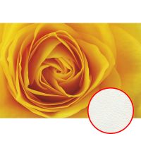 Фреска Ortograf Цветы 3159 Фактура флок FLK Флизелин (4*2,7) Желтый/Оранжевый, Цветы арт-3159 (флок FLK) — фото 1, Фрески