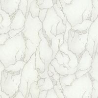Товар: Обои Emiliana Parati Valentin Yudashkin 5 Винил на флизелине (1,06*10,05) Белый/Серебряный, Мрамор арт-86028 - фото 1 Обои Emiliana Parati Valentin Yudashkin 5 Винил на флизелине (1,06*10,05) Белый/Серебряный, Мрамор арт-86028 — фото 1, Обои для стен