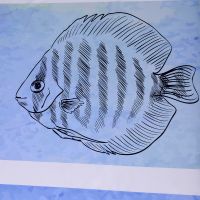 Товар: Штора для ванны WasserKRAFT Inn 180х200 Море арт-SC-43101 - фото 4 Штора для ванны WasserKRAFT Inn 180х200 Море арт-SC-43101 — фото 4, Шторы для ванной