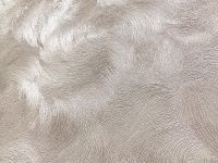 Обои Solo Illusion Винил на флизелине (1,06*10,05) Бежевый, Абстракция/Штукатурка арт-168405-24 — фото 3, Обои для стен