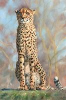 Фреска Ortograf Животные 17603 Фактура флок FLK Флизелин (1,8*2,7) Бежевый/Голубой, Животные/Живопись арт-17603 (флок FLK) — фото 2, Фрески