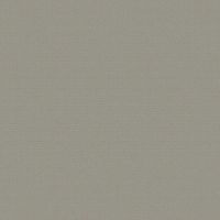 Обои Bernardo Bartalucci Medici Винил на флизелине (1,06*10,05) Бежевый, Однотонные арт-84204-11 — фото 1, Обои для стен