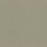Обои RASCH Ascona Винил на флизелине (1,06*10) Зеленый, Однотонный арт-979398 — фото 1, Обои для стен