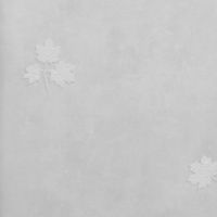 Обои Bernardo Bartalucci Sarrieri Флизелин (1,06*10) Бирюзовый, Листья арт-5082-3 — фото 1, Обои для стен