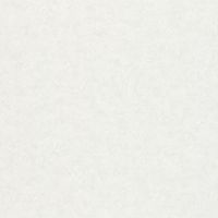 Товар: Обои Marburg Kumano Винил на флизелине (1,06*10,05) Белый, Штукатурка арт-34567 - фото 1 Обои Marburg Kumano Винил на флизелине (1,06*10,05) Белый, Штукатурка арт-34567 — фото 1, Обои для стен