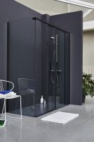 Душевая дверь Jacob Delafon Contra Black 120 профиль Черный стекло прозрачное арт-E22C120-BL — фото 2, Раздвижные душевые двери