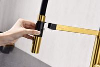 Смеситель для кухни Paulmark Leader Брашированное золото арт-Le214101-BG — фото 11, Смесители для кухни