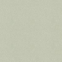 Товар: Обои Bernardo Bartalucci Palazzo Флизелин (1,06*10,05) Зеленый, Однотонные арт-5048-1 - фото 1 Обои Bernardo Bartalucci Palazzo Флизелин (1,06*10,05) Зеленый, Однотонные арт-5048-1 — фото 1, Обои для стен